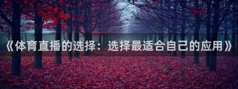 500万彩票网：《体育直播的选择：选择最适合自己的应用》