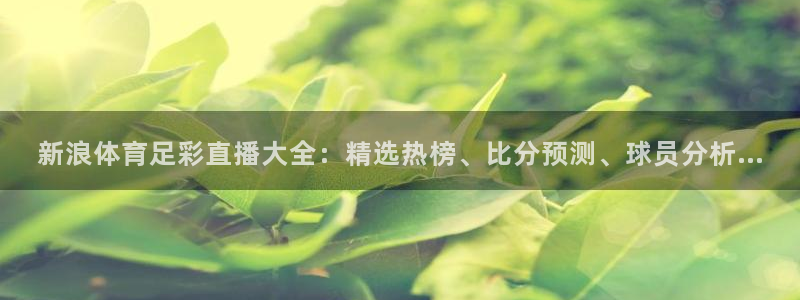 500彩票,：新浪体育足彩直播大全：精选热榜、比分预测、球员分析...