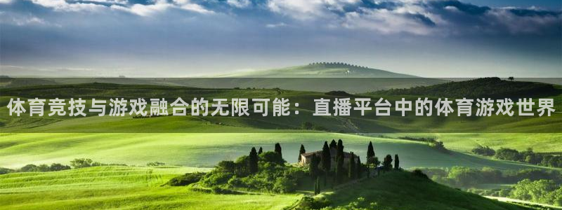 彩票开奖查询,：体育竞技与游戏融合的无限可能：直播平台中的体育游戏世界