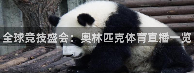 足彩开奖查询：全球竞技盛会：奥林匹克体育直播一览