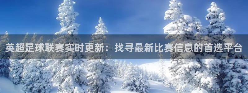 500官方彩票平台：英超足球联赛实时更新：找寻最新比赛信息的首选平台