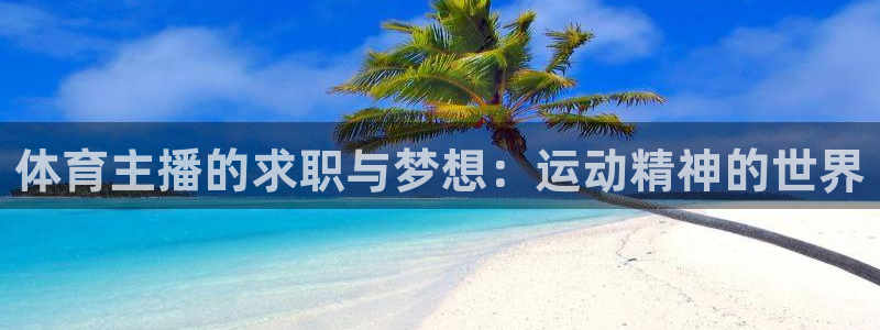 彩票开奖查询,：体育主播的求职与梦想：运动精神的世界